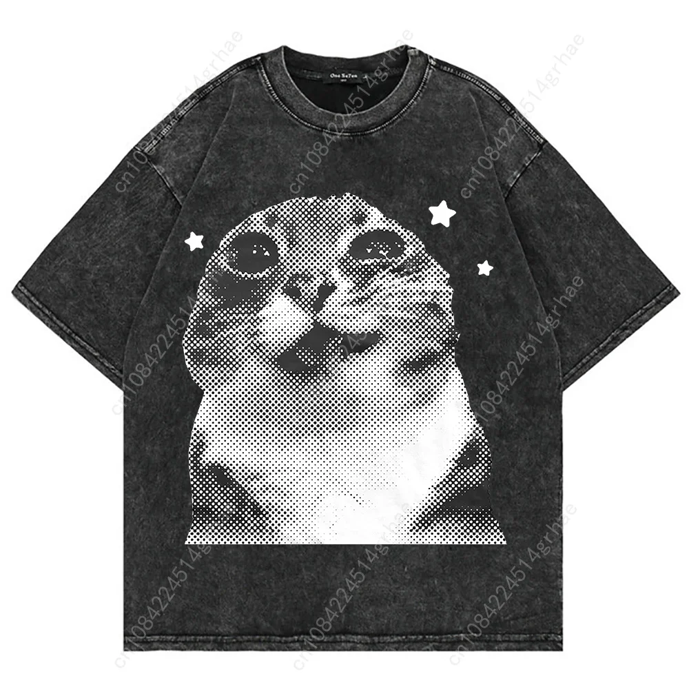%100 Pamuk Vintage Yıkanmış Y2 - Graphic Tee Oversized incelemesi ve fiyatı