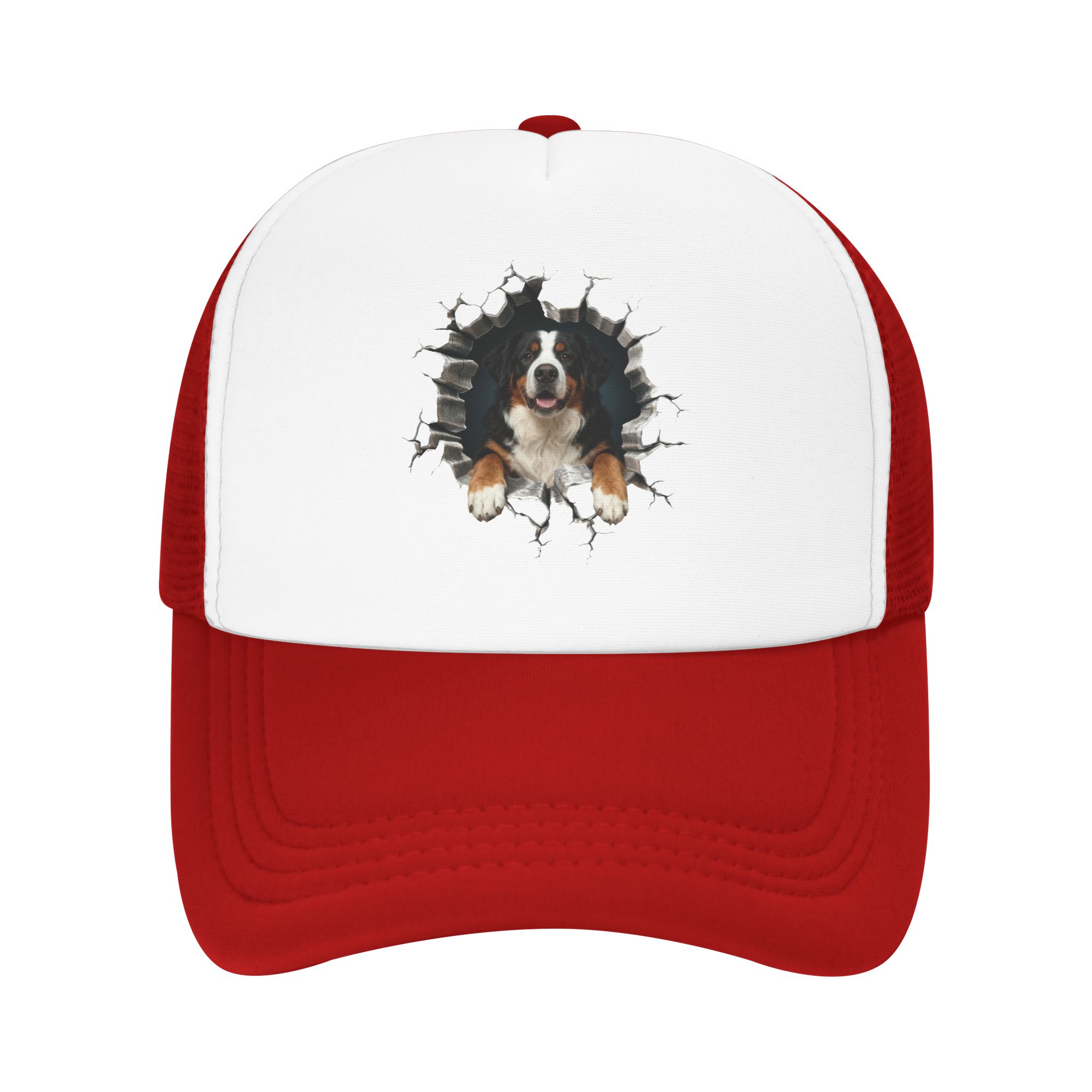 Bernese Dağ Köpeği Kamyon Şofö - Trucker Hat Cap incelemesi ve fiyatı